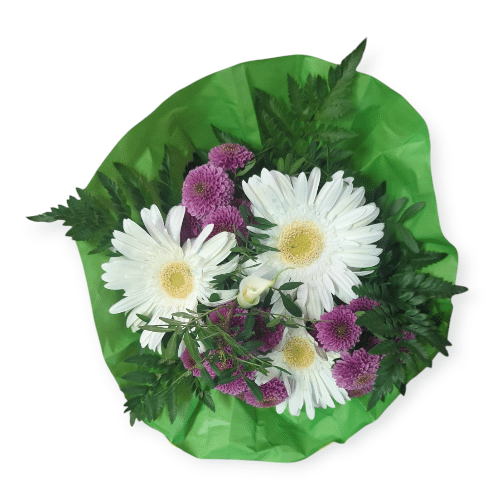 Weiße Blüten mit lila Highlights , ruhig, rein und liebevoll