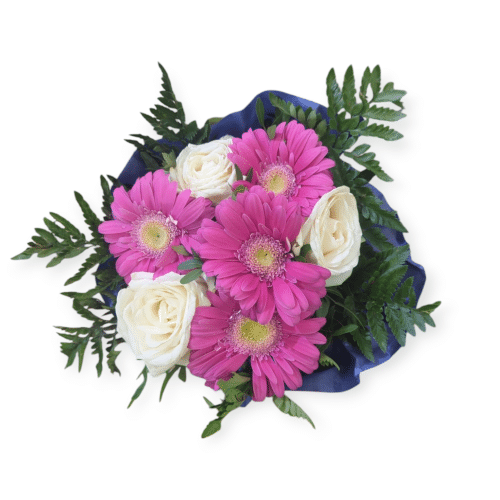 Rosafarbene Gerbera mit cremeweißen Rosen , freundlich und charmant