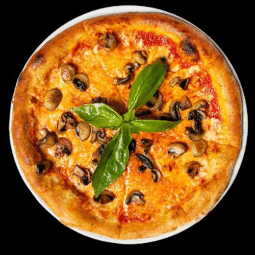 Pizza Funghi