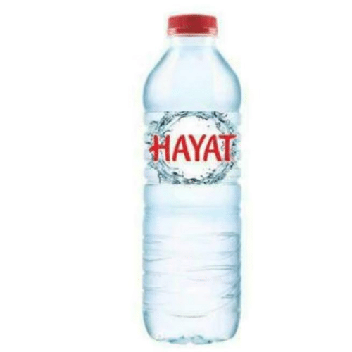 Hayat Wasser 0,5l
