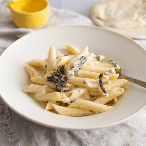 Penne Gorgonzola
