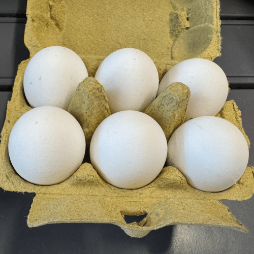 Eier
