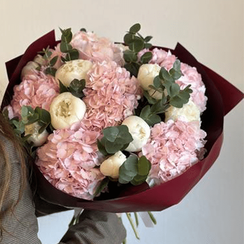 Hortensien & Paeonies