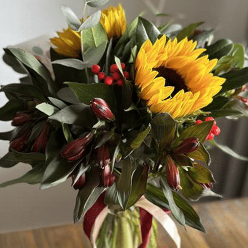 Sonnenblumen & Alstro