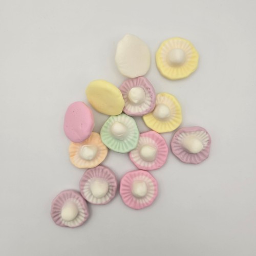 Rainbow Mushrooms 100g
