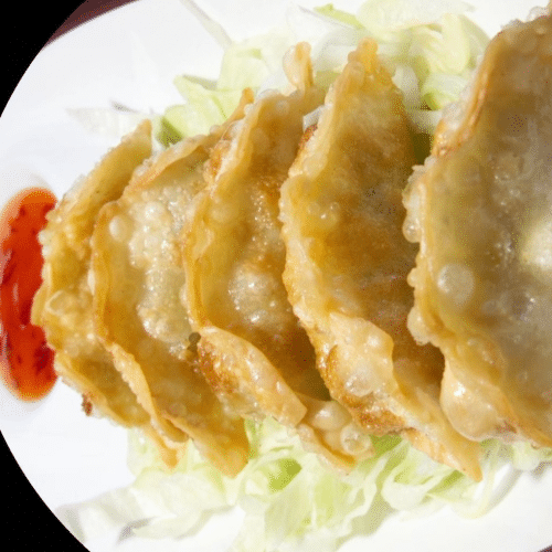 Gyoza Hühnchen 1 (5 Stück)