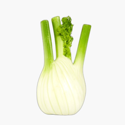 Fenchel 1 Stk.