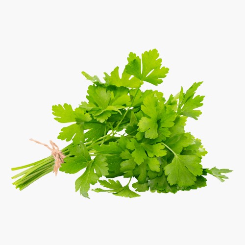 Petersilie Glatt 40g