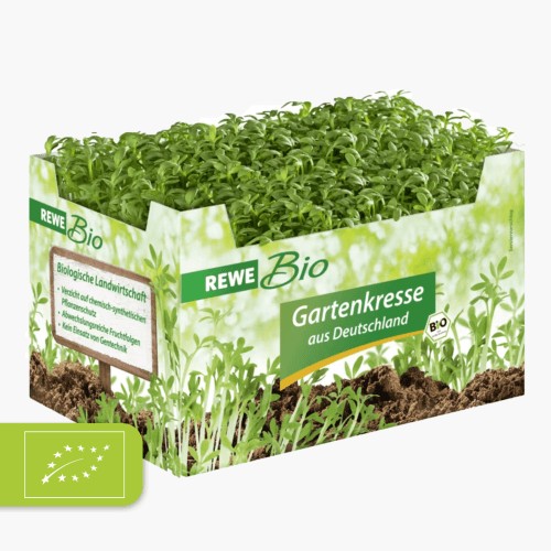 Rewe Bio Gartenkresse 1 Stk.