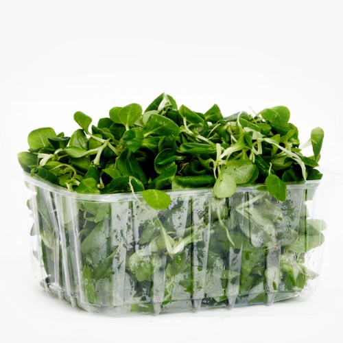Bio Feldsalat 100g