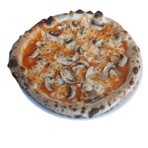Pizza Funghi