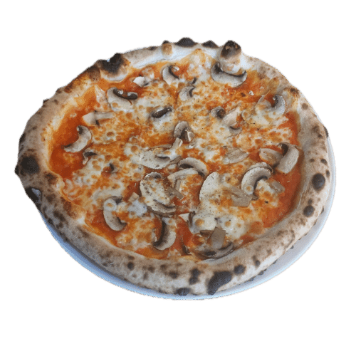 Pizza Funghi