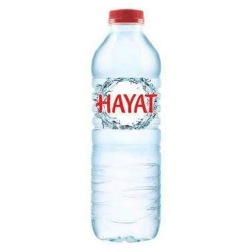 Hayat Wasser Still 0,5l (EINWEG)