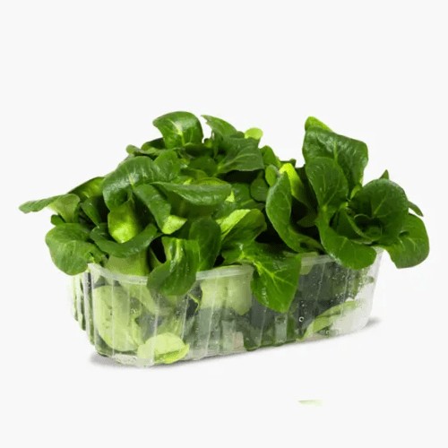 Feldsalat Bio 100g