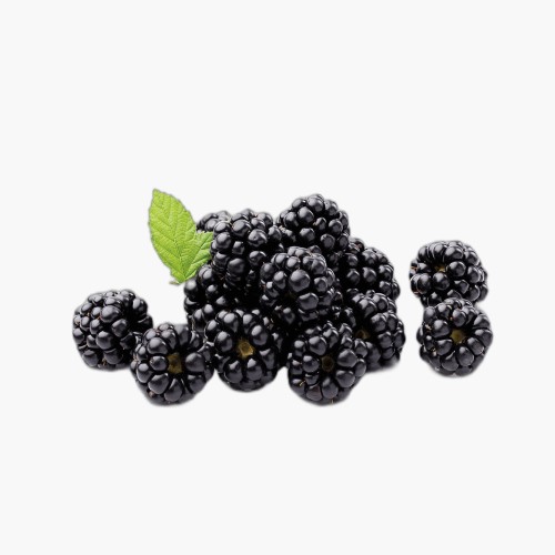 Bio Brombeeren 125g