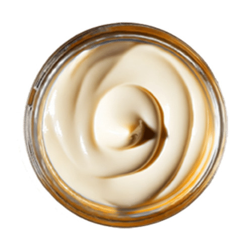Heinz Mayo