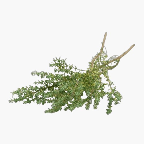 Thymian 15g