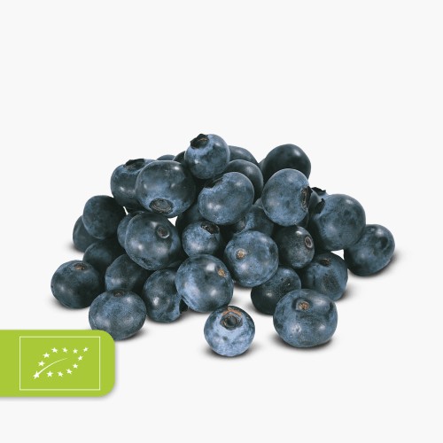 Bio Heidelbeeren 125g
