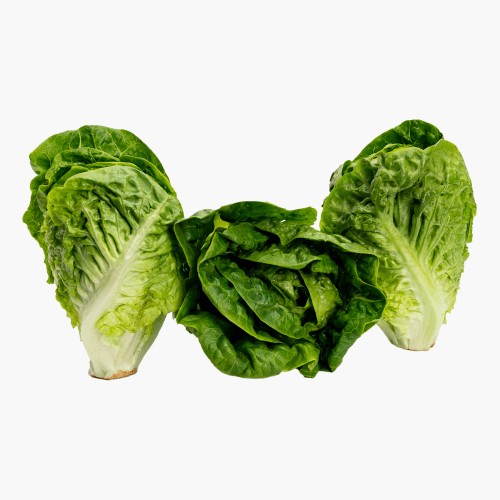 Romana Salat 3 Stk.