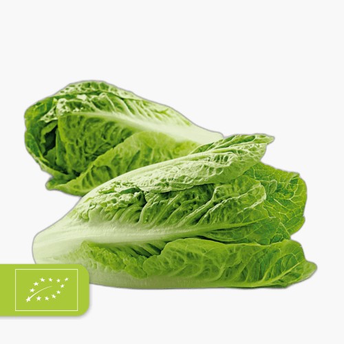 Bio Romana Salat Mini 2 Stk.