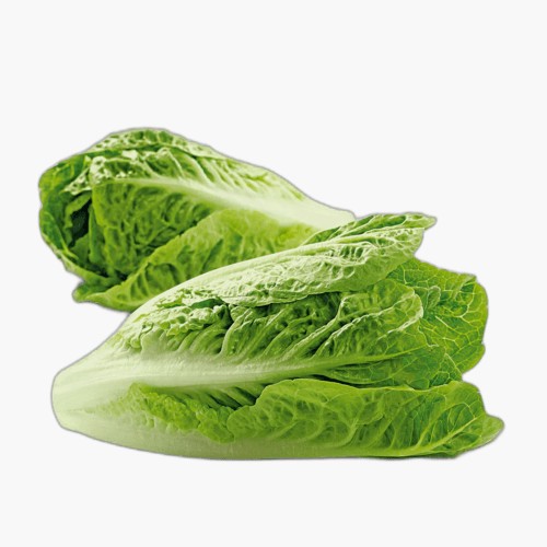 Bio Romana Salat Mini 2 Stk.