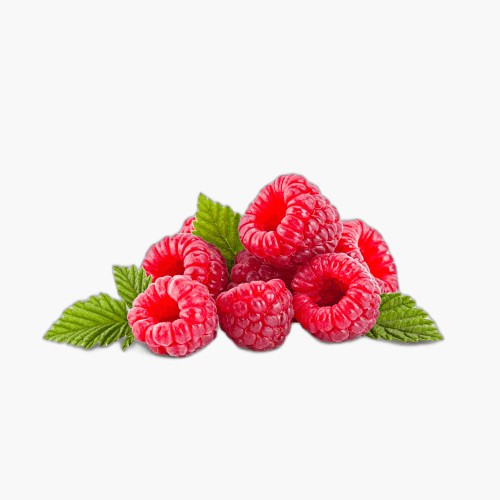 Bio Himbeeren 125g