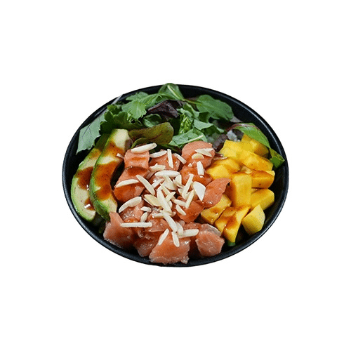 Salmon Bowl