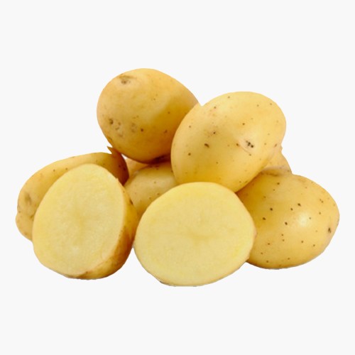 Bio Kartoffeln vorw. festkochend 1,5kg