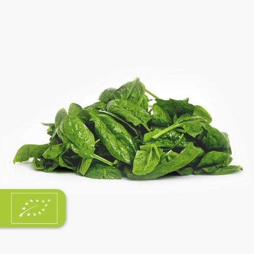 Bio Baby Spinat 100g
