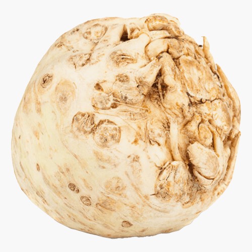 Knollensellerie 1Stk