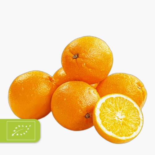 Bio Orangen 1kg