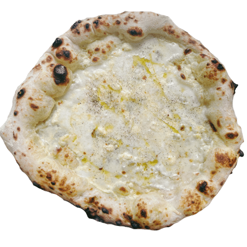 Four Cheese Fusion