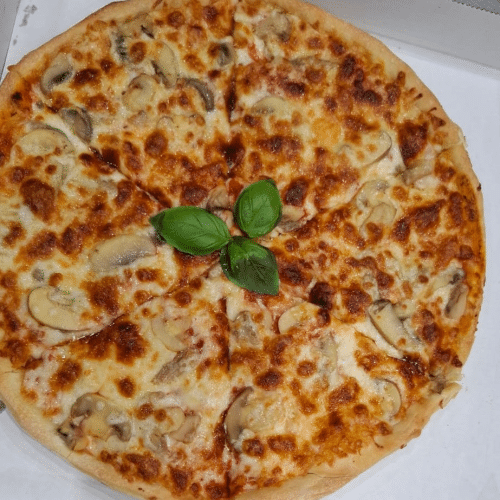 Pizza Funghi