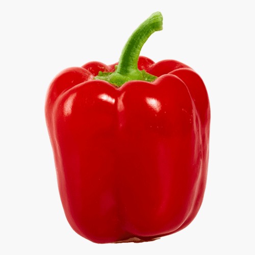 Paprika Rot 1 Stk.