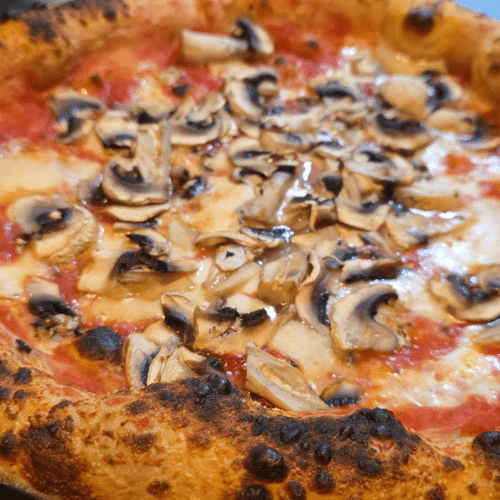 Pizza Funghi