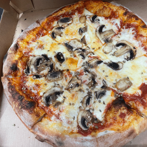 Pizza Funghi