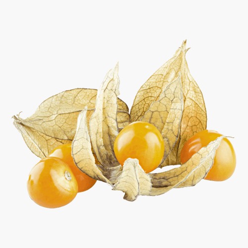 Physalis 125g