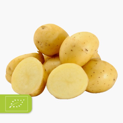 Bio Kartoffeln vorw. festkochend 1,5kg