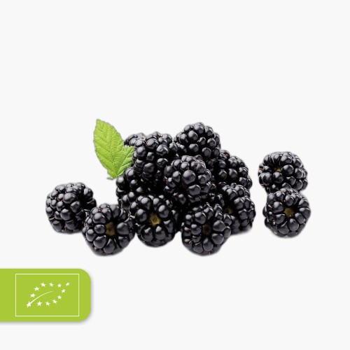 Bio Brombeeren 125g