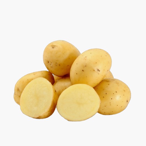 Bio Kartoffeln festkochend 1,5kg