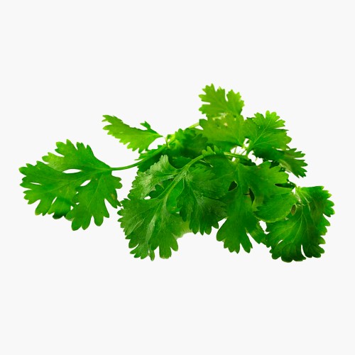 Koriander 25g
