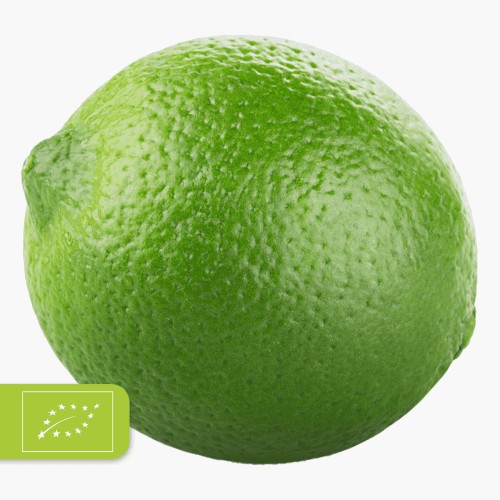 Bio Limette 1 Stk.