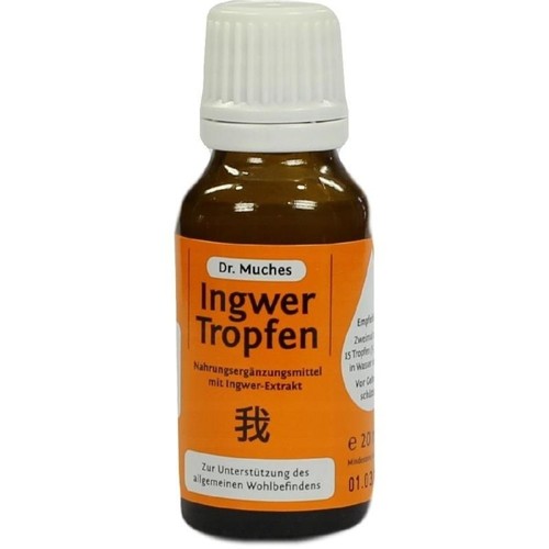 Ingwertropfen Dr.Muches 20 Milliliter