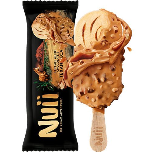 Nuii Ice Cream Adventure Texan Pecan