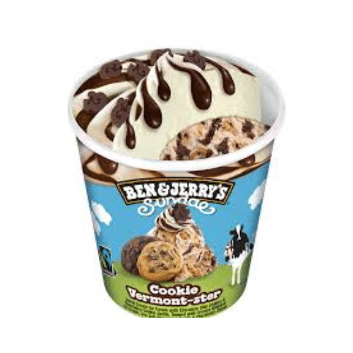 Ben & Jerrys Cookie Vermonster 465ml