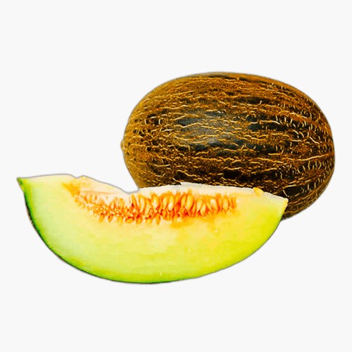 Melone Futuro 1 Stk.