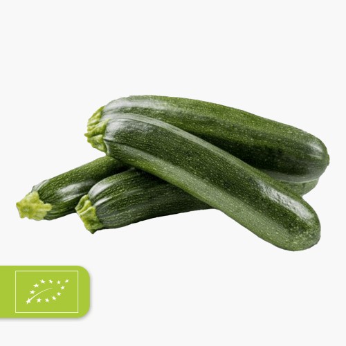 Bio Zucchini Bund 500g