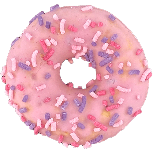 Wild-Fruits Donut
