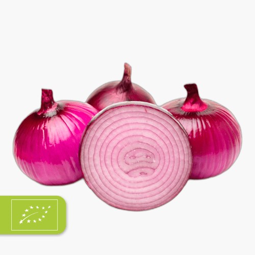 Bio Zwiebeln Rot 500g