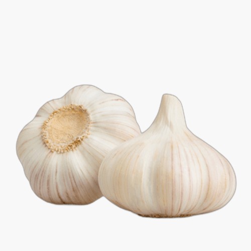 Bio Knoblauch 100g